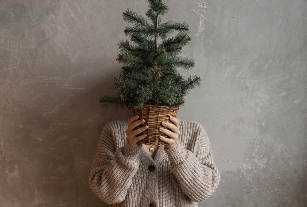 Frau mit kleinem Weihnachtsbaum